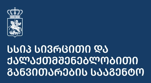 სსიპ - სივრცითი და ქალაქთმშენებლობითი განვ... ლოგო