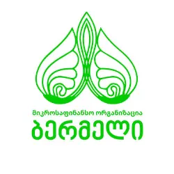 ბერმელი ლოგო