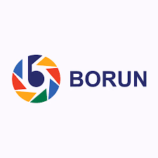 ბორან ლაითი logo